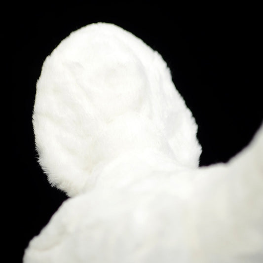 Adorable Peluche Gallo Blanco Realista - Image 2