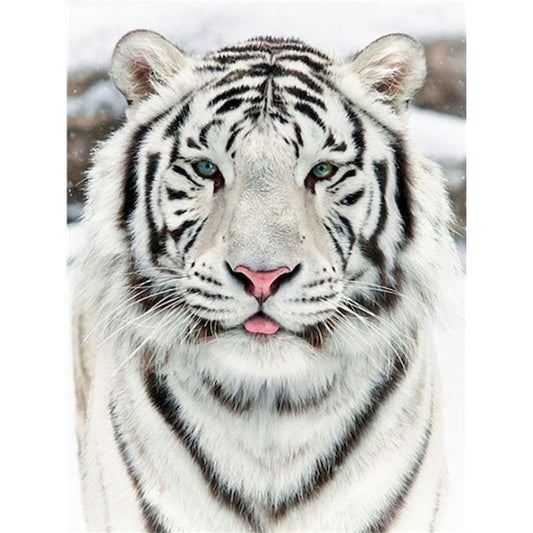 Pintura por Números Tigre Blanco - Image 2