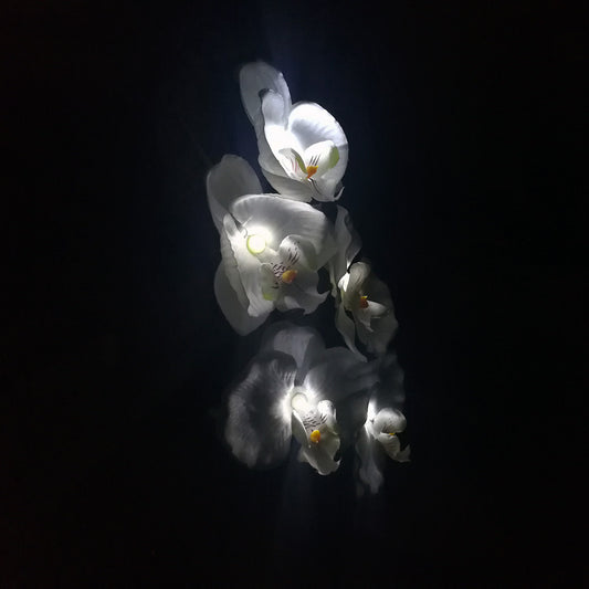 Luz Solar LED Flor Orquídea con 5 Cabezales - Image 2