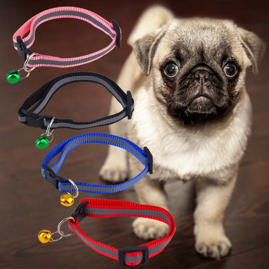 Collar Fluorescente para Perros - Image 2