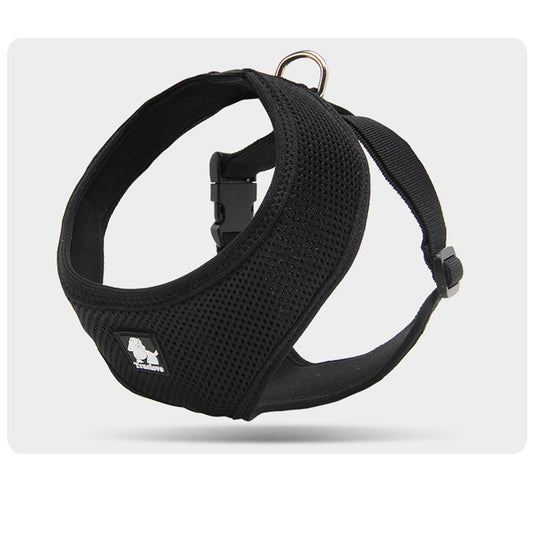 Correa de Paseo Resistente para Perros Pequeños - Image 2
