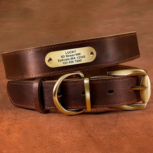 Collar de Cuero Genuino para Perro con Grabado Antiextravío - Image 2