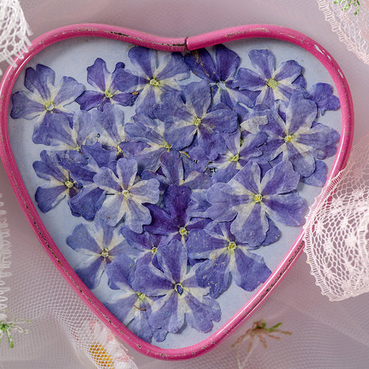 Marcapáginas con Flor de Cerezo Deshidratada - Accesorio Ornamental con Espécimen Botánico - Image 2