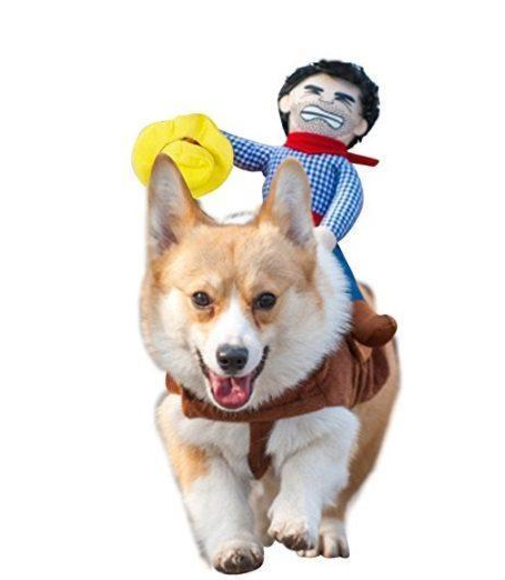 Ropa para Perros - Image 2
