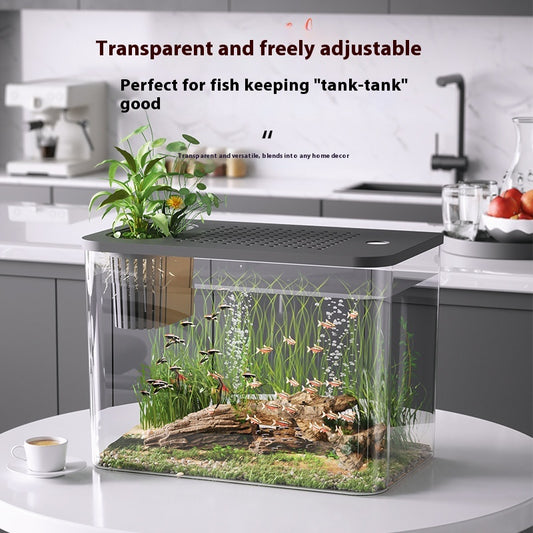 Acuario Ecológico Compacto para Peces Betta - Decoración Minimalista - Image 2