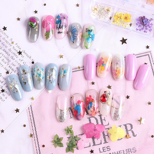 Flores Secas para Nail Art - Image 2