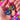 Rainbow Leopard QUEEN Earrings - Tekeno