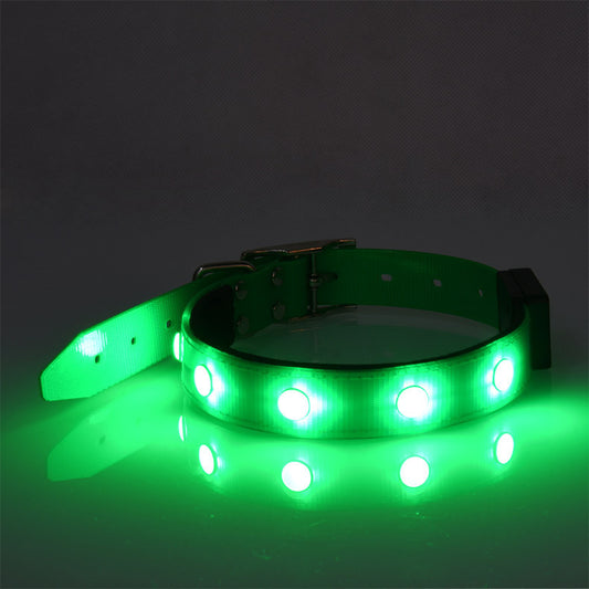 Collar Luminoso Impermeable Ajustable para Gatos y Perros - Image 2