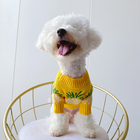 Ropa Navideña para Mascotas con Estampado de Piña - Abrigo Otoño Invierno - Image 2