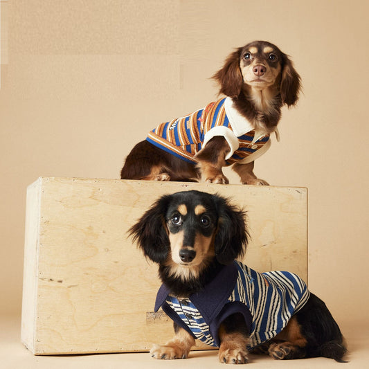 Polo Rayado para Perros Tony Bear - Ropa Cómoda y Elegante - Image 2