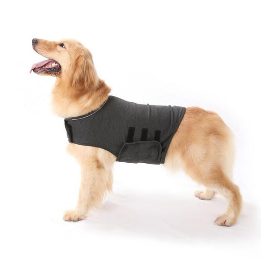 Ropa de Confort para Ansiedad en Perros - Image 2