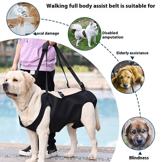 Arnés de Apoyo para Perros Lesionados en Tela Oxford - Image 2