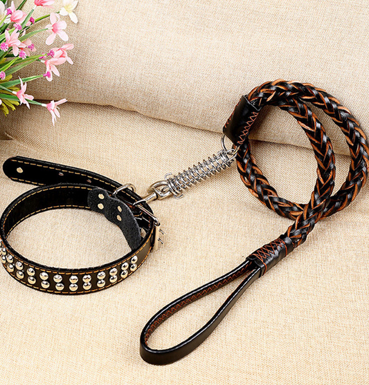 Collar de Tracción con Cadena de Cuero Antiexplosión - Image 2
