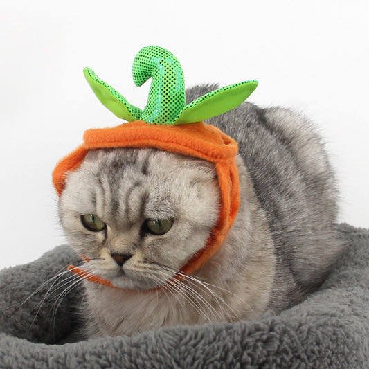 Disfraz de Gato Halloween con Decoración de Calabaza y Hojas Verdes - Image 2