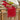 Polka Dot Red Happy Birthday Table Runner, Seasonal Christmas Winter Kitchen Dining Table Decoration for Home Party Decor 13X72 Inch - Tekeno