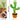 Christmas Dancing Talking Cactus Toy Mimics Back, Cactus Baby Toy Singing Mimicking Repeating Recording Cactus Toy, Silly Sunny the Cactus with 3Xaa Battery - Tekeno