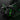 Fenrir S Gaming Headset with Microphone, Noise Cancelling Mic, Comfortable Ear Pads, 50 Mm Drivers, RGB Light, One Key Control, Gaming Headphones for PC, Xbox, PS4, PS5, Switch, Controller - Tekeno
