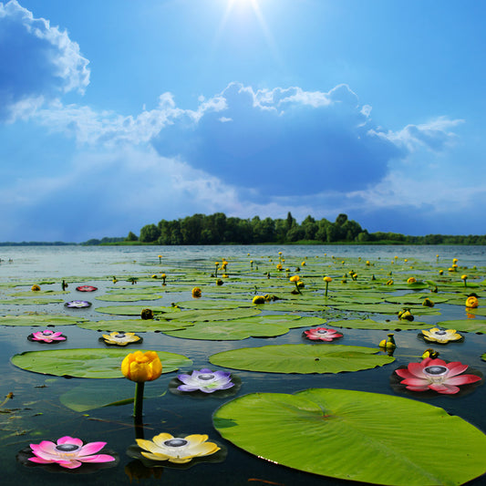 Lámpara Solar Flotante LED Flor de Loto con Luz Multicolor para Piscina - Image 2
