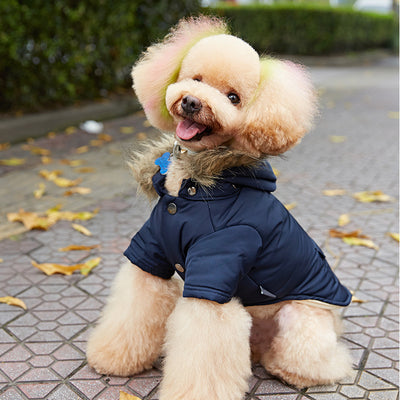 Ropa de Abrigo para Perros - Colección Otoño Invierno