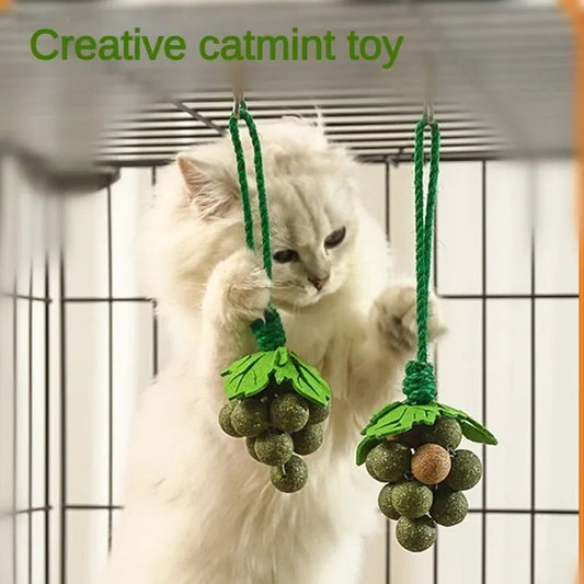 Juguetes Interactivos para Gatos con Hierba Gatera, Palitos Masticables Resistentes - Image 2
