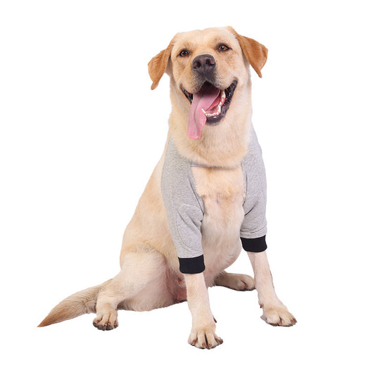 Protectores de Articulaciones para Mascotas - Protección Térmica y de Frío - Image 2