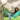 Hammock Rain Fly – Waterproof Camping Tarp Cover with Tent Stakes & Carry Bag, Ultralight Shelter for Backpacking & Outdoor Shade - Tekeno