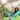 Hammock Rain Fly – Waterproof Camping Tarp Cover with Tent Stakes & Carry Bag, Ultralight Shelter for Backpacking & Outdoor Shade - Tekeno