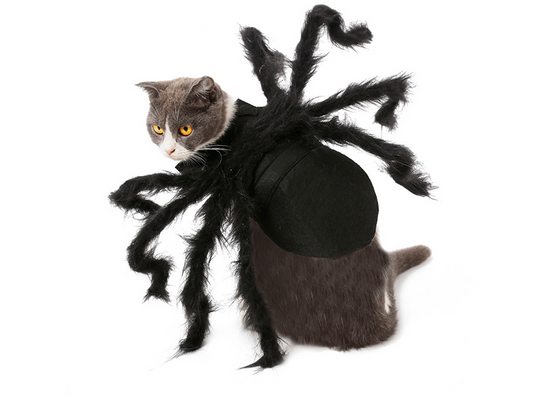 Disfraz de Araña Terrorífica para Mascotas - Traje Interactivo para Perros y Gatos - Image 2