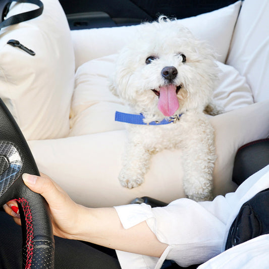 Transportín Elegante y Funcional para Mascotas - Image 2