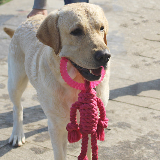 Juguete Interactivo de Nudos para Perros Grandes - Image 2