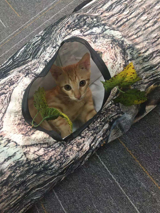 Túnel de Juego con Patrón de Árbol para Gatos y Perros - Image 2