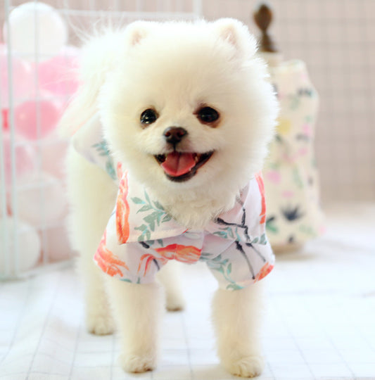 Playera Fresca para Perro Pequeño - Diseño Osito Delgado Verano - Image 2