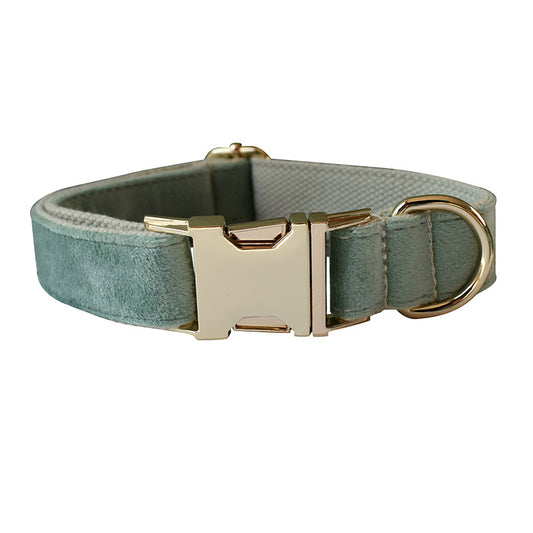 Collar y Correa para Perro Verde Menta - Image 2