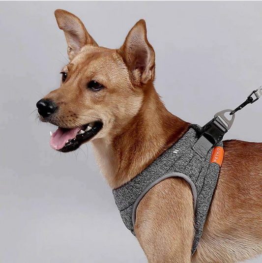 Collar de cuerda para perros - Image 2