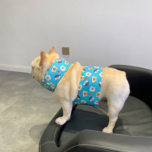 Collar Refrescante para Perros - Tecnología de Enfriamiento para Verano - Image 2