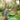 Hammock Rain Fly – Waterproof Camping Tarp Cover with Tent Stakes & Carry Bag, Ultralight Shelter for Backpacking & Outdoor Shade - Tekeno