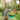 Hammock Rain Fly – Waterproof Camping Tarp Cover with Tent Stakes & Carry Bag, Ultralight Shelter for Backpacking & Outdoor Shade - Tekeno