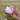 Helloskittyes Perfume Bottle Sticker Dispenser Figure Head Children Girls Birthday Gifts Cute Doll Toys - Tekeno