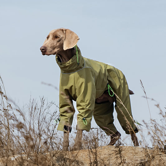 Abrigo Impermeable para Perros Grandes con Cuello Alto y Protección Térmica - Image 2