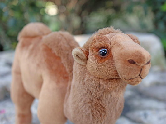 Peluche Camello del Desierto de Dunhuang - Juguete Realista - Image 2