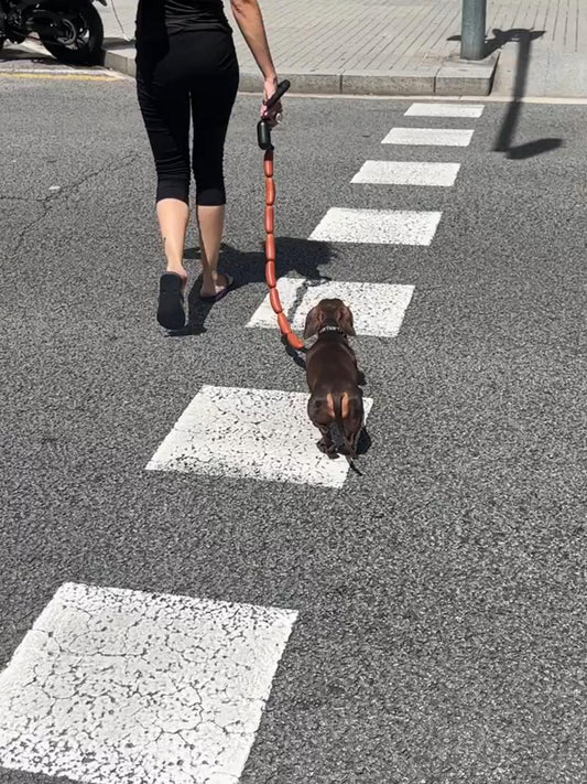 Correa de Tracción Gruesa para Perros Pequeños y Medianos - Diseño Divertido tipo Salchicha - Image 2