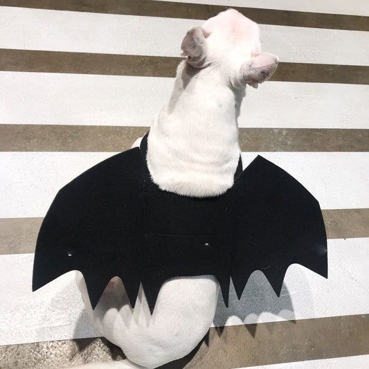 Alas de Murciélago para Perros - Accesorio Disfraz Transformable - Image 2