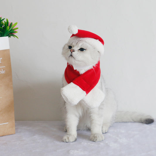 Pañoleta Térmica para Mascotas y Accesorios de Invierno - Image 2
