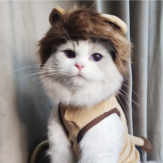 Disfraz de León para Mascotas - Ropa Halloween para Perros y Gatos - Image 2