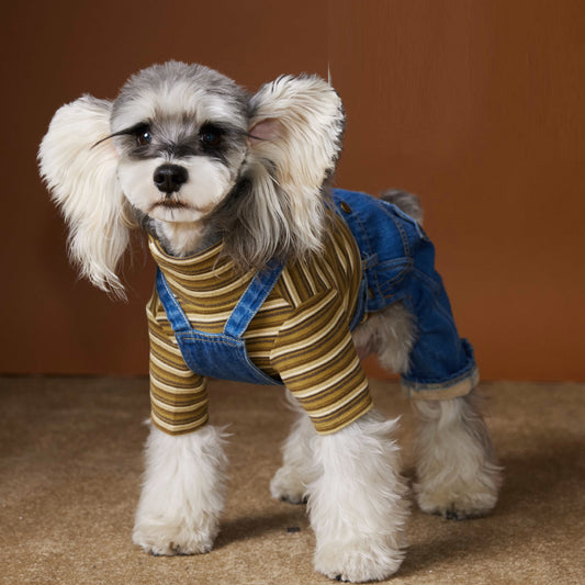Ropa de Invierno para Perros Pequeños - Jeans Acolchado Térmico - Image 2