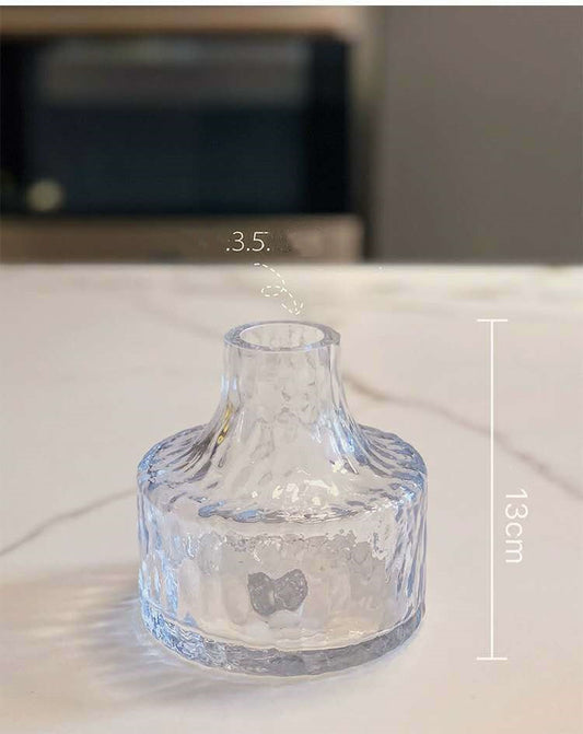 Maceta Colgante Helada con Planta Clorofitum Hidropónica - Image 2