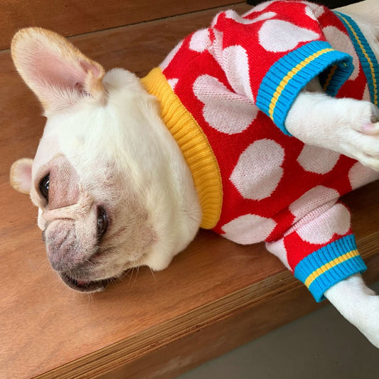 Suéter Tejido para Perros y Gatos - Diseño Rojo Otoño Invierno - Image 2