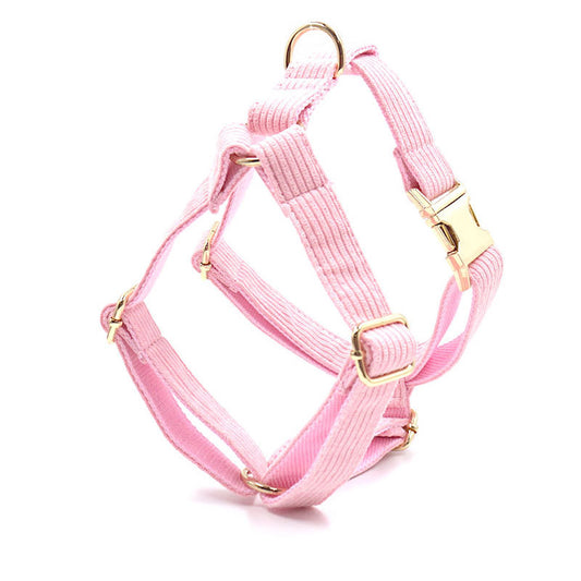 Chaleco de Pecho para Perro en Pana con Letras Láser - Image 2