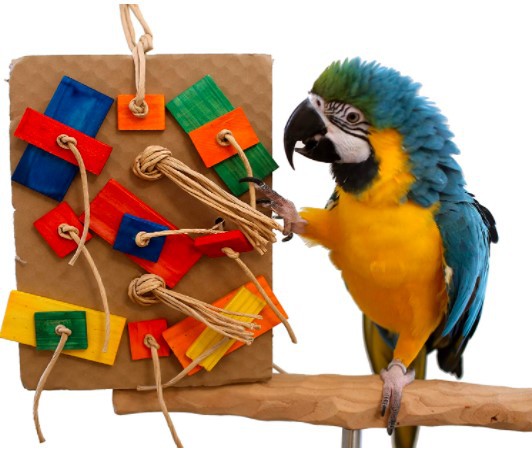 A green and yellow parrot on a wooden perch interacts with a colorful cardboard and wood block nibbling toy. - Image 2