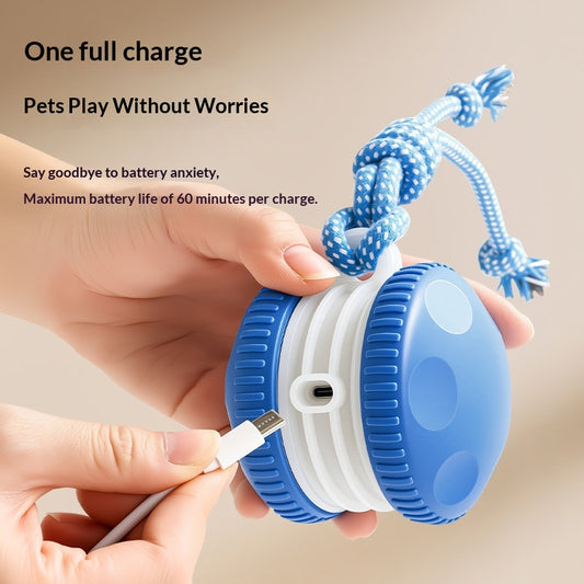 Pelota Interactiva Recargable para Gatos y Perros - Juguete Rodante Duradero - Image 2